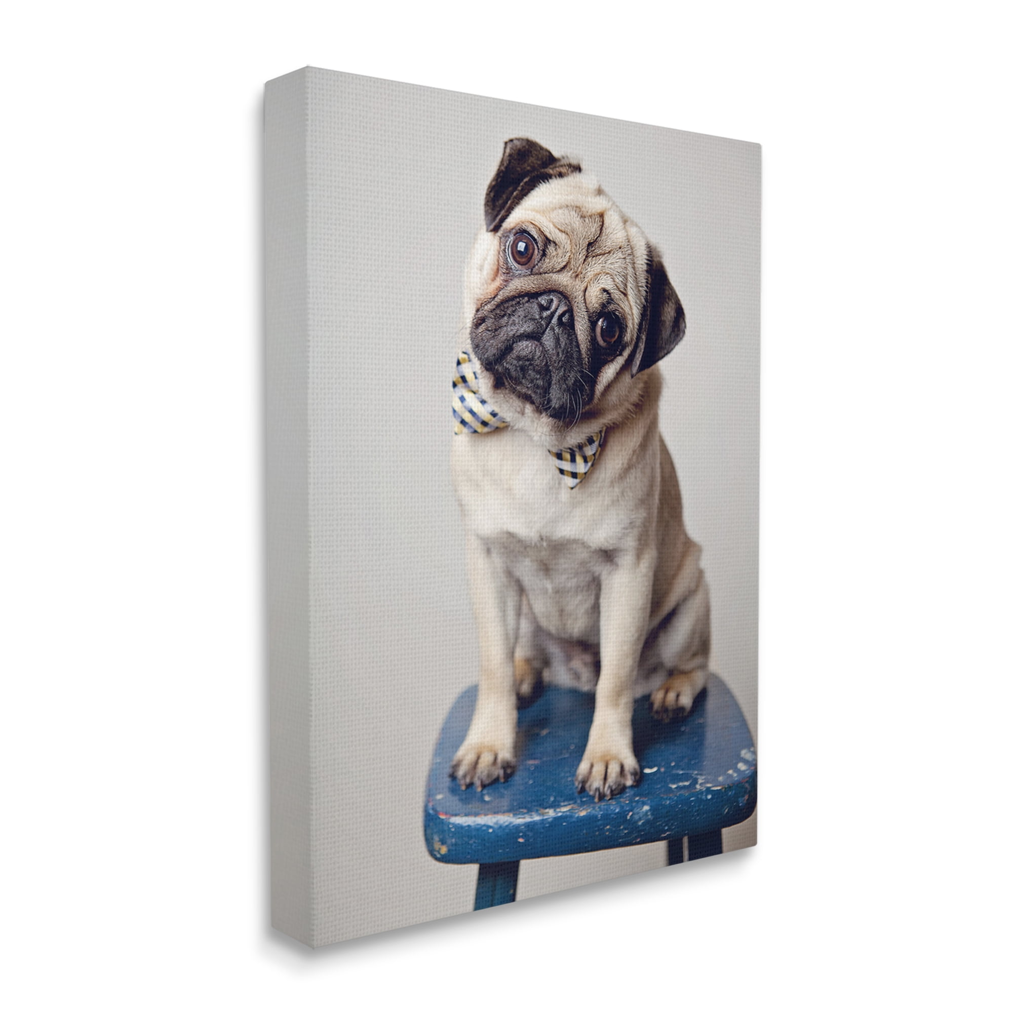Stupell Industries Pug Bow Tie Blue Stool Pet Portrait Photography, 24 x 30, Design by Michele Reed