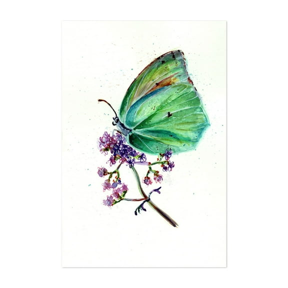 Green Butterfly - Painting Watercolor Butterfly Floral Nature Illustration Botanical Insect Unframed Wall Art Print 4 x 6 inches