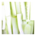 thumbnail image 2 of Bastones de pepino Naturalmente Express por pieza, 2 of 4