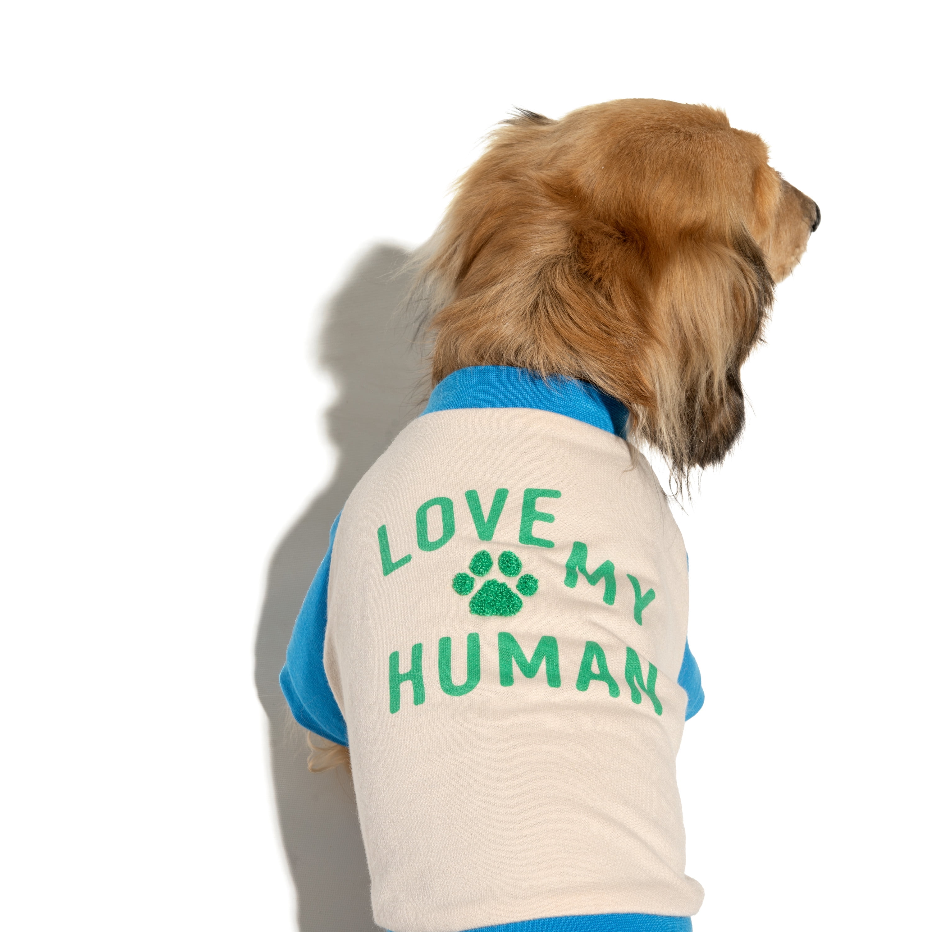 Oodles Blue Love My Human Spring Raglan Dog T-Shirt, Small