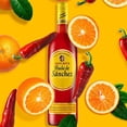 thumbnail image 6 of Viuda de Sanchez Sangrita, 1 Liter Bottle, 6 of 6