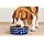 thumbnail image 5 of PAWPOURRI Printed Blue Print Anti-Skid Stainless Steel Water and Food Feeding Bowl for Adult Dogs, Puppies, Cats |Stainless Steel | Anti-Skid | Easy to Clean Pet Feeder, 950ml, 5 of 9