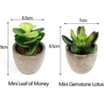 thumbnail image 4 of 6 piezas de plantas suculentas artificiales en macetas naturales, pequeñas plantas artificiales, decoración del hogar para su hogar, oficina, 4 of 4