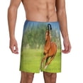 thumbnail image 2 of KLL horse running freely for Men's 1-Pack Shorts,Sleep Pajama Shorts for Men Soft Pj Shorts Men's Pajama Bottoms Sleepwear-3X-Large, 2 of 6