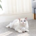 thumbnail image 4 of Meterk Électrique Jouet Interactif Chat Boule de Roulement pour les Chats Exercice Led Lumière Usb Rechargeable Direction Automatique, 4 of 7