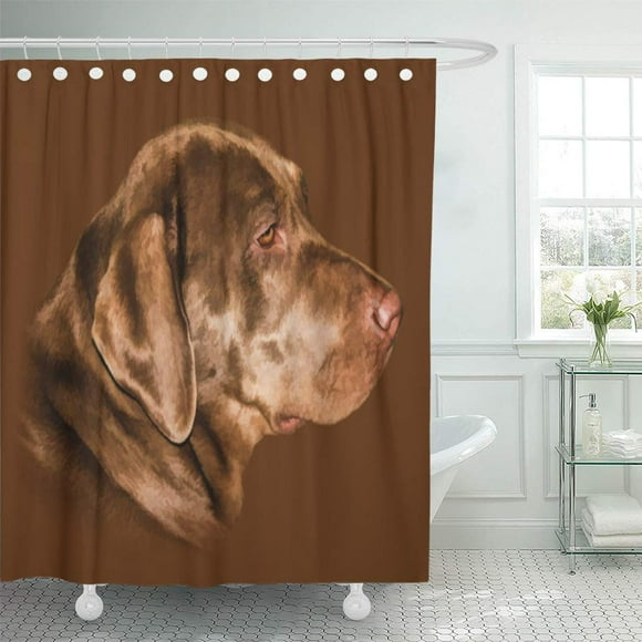 SUTTOM Brown Pets Labrador Retriever Dog Labs Sporting Chocolate Shower Curtain 66x72 inch