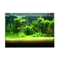 thumbnail image 2 of Attractive 3D Plants Image Aquarium Background Poster/Fish Tank Landscape - 122x61cm, 2 of 8