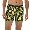 thumbnail image 2 of Salouo Lemon Fruits Flowers Leaves Pattern Men's Boxer Briefs, Soft & Breathable Underwear Elastic Waistband Briefs for Men,1-Pack, 2 of 7