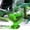 Vert, variante sur YOPTOP Bouteille Baromètre en Verre Inspirée des Prévisions Météorologiques pour la Maison et le Bureau, Décor DIY, Vert