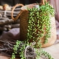 thumbnail image 6 of Trianu 14 Pcs Artificial Succulents Plants Unpotted Green Hops String of Pearls Echeveria Air Plant Picks Fake Succulents Bulk for Succulent Garden Arrangement Centerpiece Indoor Outdoor Home Decor, 6 of 9