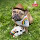 thumbnail image 2 of Multipet International Juguete para perro de peluche Multipet, Lambchop, 2 of 9