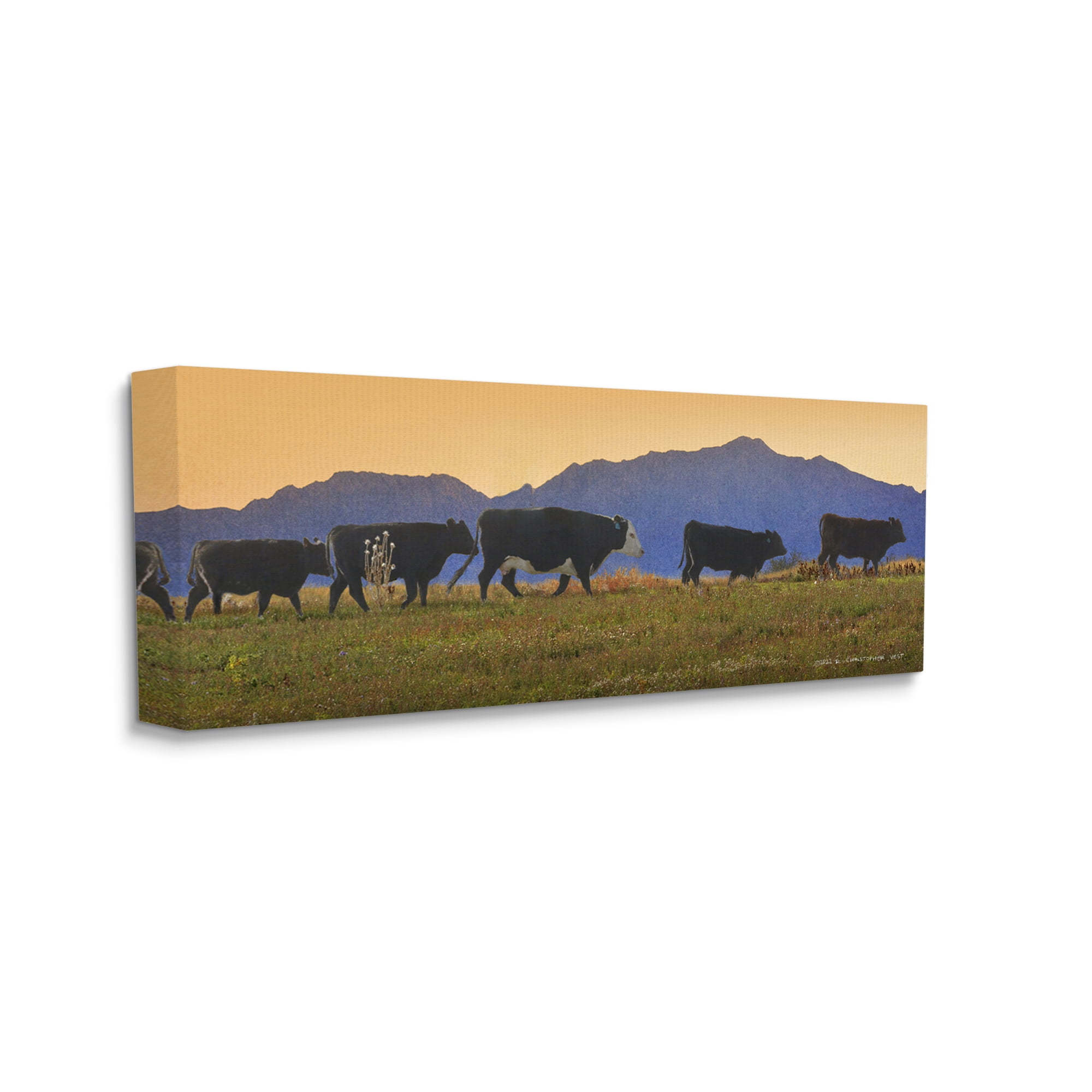 Stupell Grazing Cows Country Meadow Mountains Animals & Insects Photography Gallery Wrapped Canvas Print Wall Art