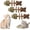 Mix*3, variant on Sterling Whiskers Cat Chew, Catnip Silvervine Fish Bone Chew Stick, Natural Wooden Chew Accessory, Fish Bone Shaped Indoor Activity Item (Green*3)