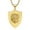 B, variant on MayiaHey Lion Shield Pendant, Gold Lion Shield Necklace for Men, Rock Lion Head Necklace Hip Hop Lion Head Jewelry, Punk Lion Shield Charm Necklace Vintage Lion Animal Pendant Necklace