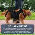 thumbnail image 5 of UOSIA Dog Lift Harness,Full Body Dog Sling Carrier with Handle,Pet Dog Leg Support Sling, 5 of 6