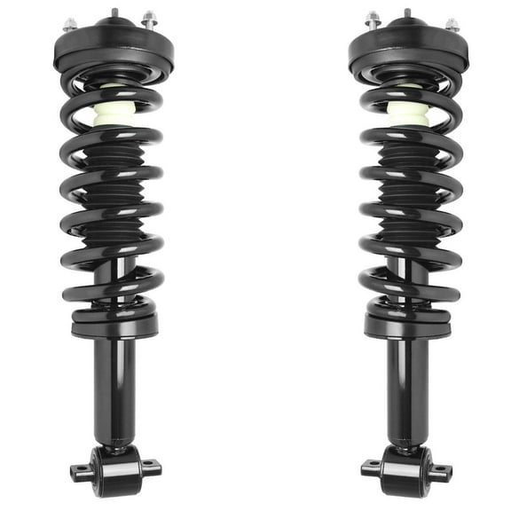 Detroit Axle - RWD 2pc Front Struts for 2014 Ford F-150 [Except 3.7L Standard Cab Pickup] Complete Ready Struts w/Coil Spring Replacement Quick Install Struts Assembly