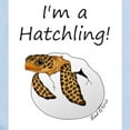 thumbnail image 2 of CafePress - Hatchling Infant Bodysuit - Baby Light Bodysuit, Size Newborn - 24 Months, 2 of 4