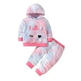 thumbnail image 2 of KYAIGUO Toddler Newborn 2PCS Sweatshirt Outfits Set for Boys Girls,Baby Hooded Top Sweatsuit+ Sweat Pants 3M-24M Baby Sports Casual Long Sleeve Autumn Winter Sweat Suits 2 Piece Outfits, 2 of 7