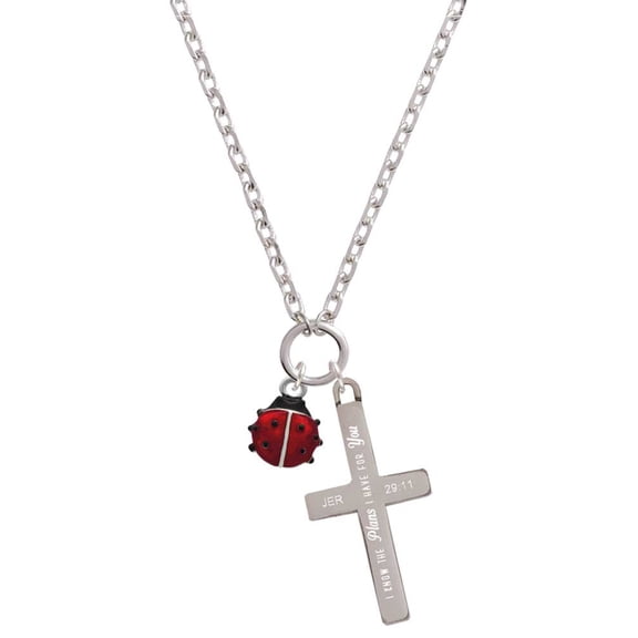 Delight Jewelry Silvertone Mini Red Translucent Ladybug I Have Plans for You Engraved Cross Zoey Necklace, 28"
