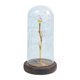 thumbnail image 2 of Ganfancp Romántica Flor Inmortal Rosa Simulación Pantalla de Cristal Led Llight Ofertas y Liquidaciones 1X Micro Paisaje, 2 of 3