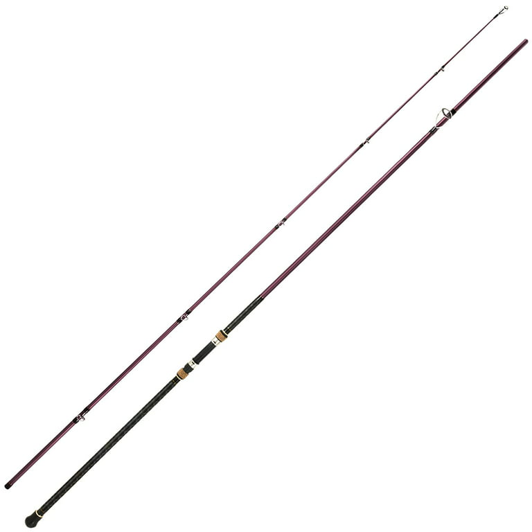 Berrypro Surf Spinning & Casting Fishing Rod Carbon Fiber Travel Fishing Rod （10'-Spinning-2pc） 