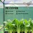 thumbnail image 4 of Greenhouse Walk-in Grow House, 4 of 7