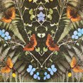 thumbnail image 1 of BLAIS, JEAN-MICHEL AUBADES (LP) (LP/Vinyle), 1 of 2