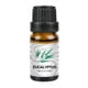 thumbnail image 1 of Aceite esencial puro de océano de 10 ml para humidificador, aromaterapia, hogar y dormitorio, 1 of 8