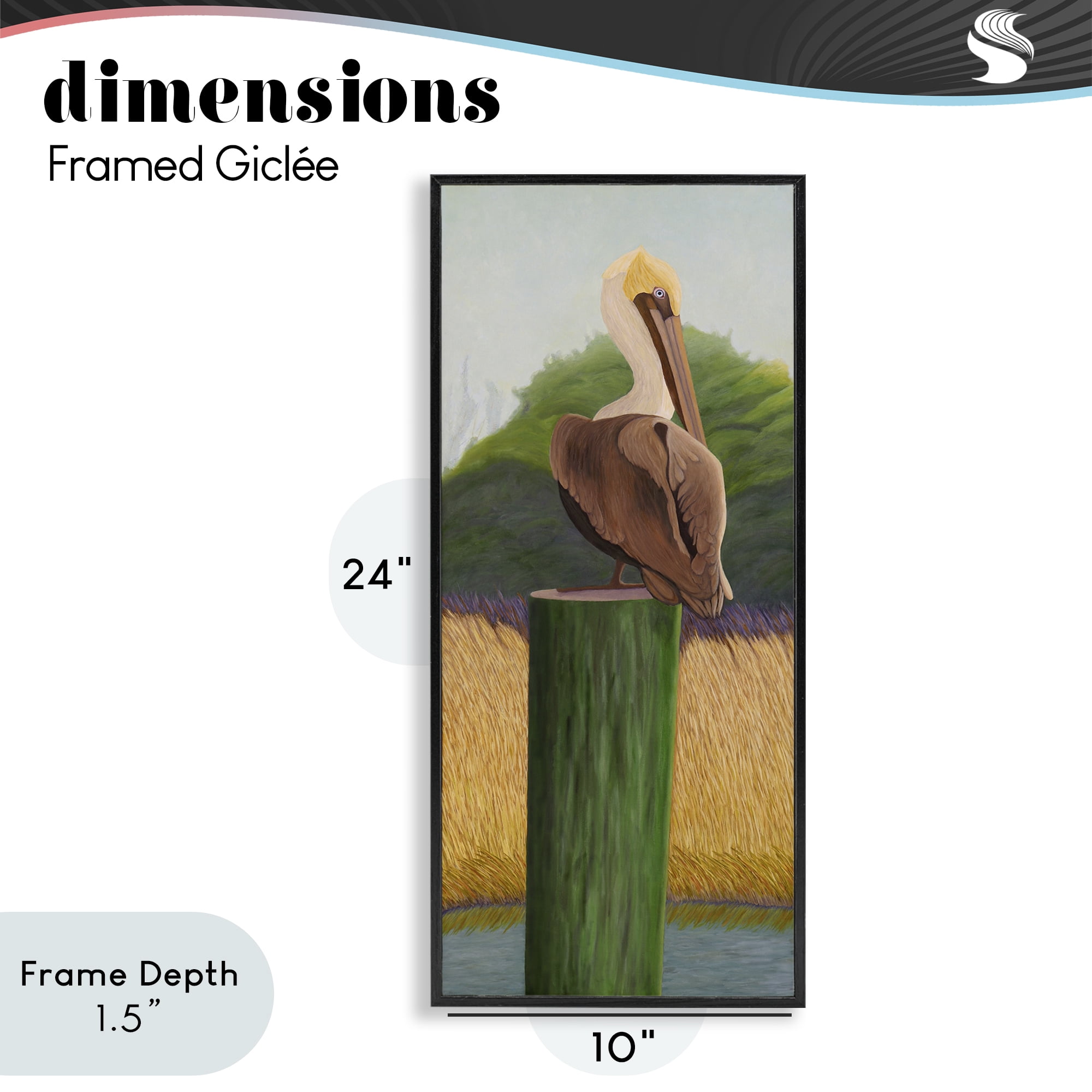 Stupell Industries Pelican with Blue Eyes Black Framed Giclee Art, design by Barbara Fallenbaum