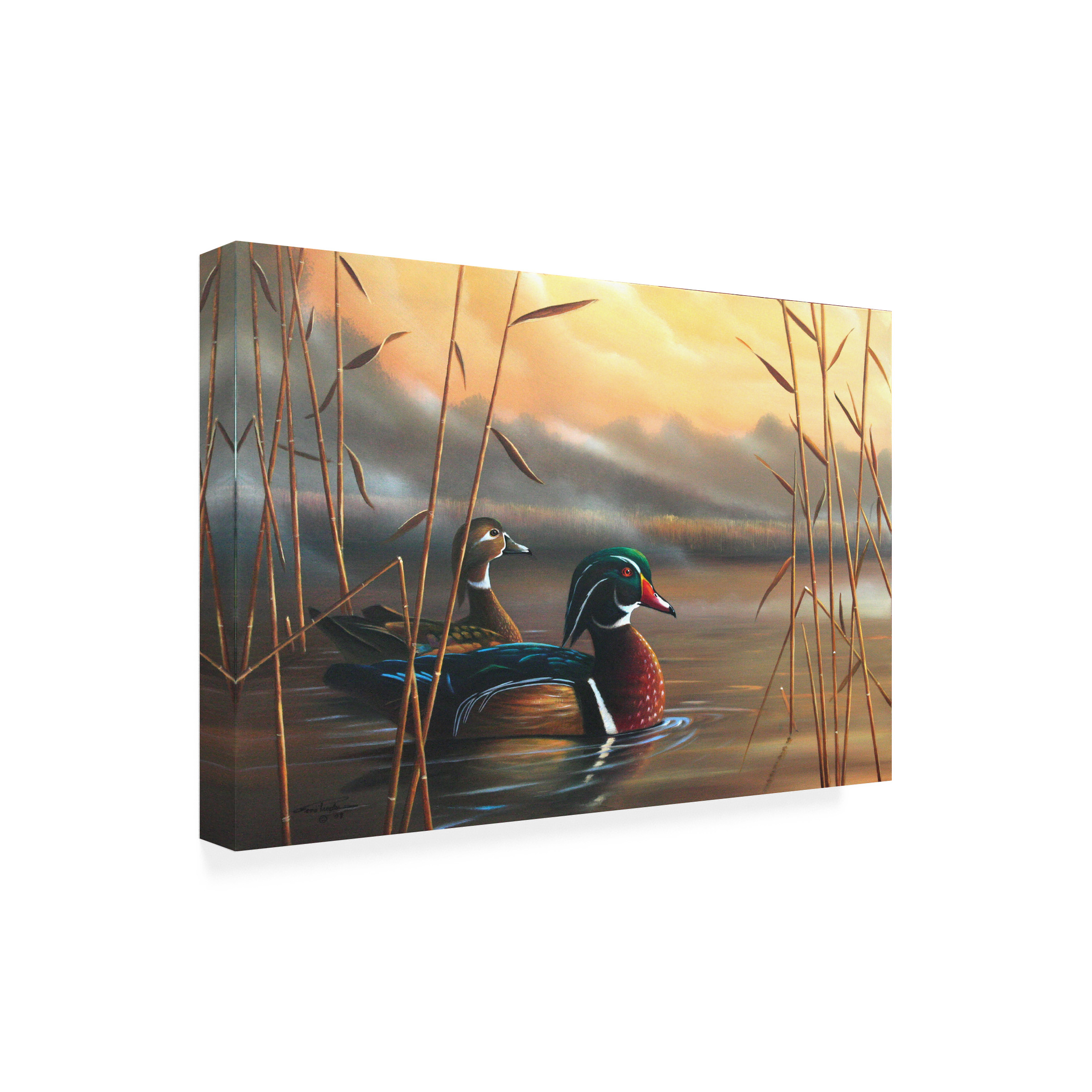 Geno Peoples 'Wood Ducks' Outdoor All-Weather Wall Decor