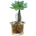 thumbnail image 1 of Coofit Artificial Succulent Plant Mini - Faux Potted Succulent Home Desktop Decoration, 1 of 4
