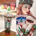 thumbnail image 3 of Para Decoración De Uñas, Copos De Nieve Holográficos De Navidad, Lentejuelas Brillantes De Colores, Confeti Brillante Para Maquillaje Facial Y Corporal Diy Yuarrent HA046062-02, 3 of 6