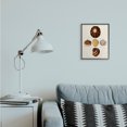 thumbnail image 3 of Stupell Industries Traditional Antique Round Patterned Sea Shells Black Framed Giclee Art, 11 x 14, by G.W. Knorr, 3 of 7