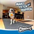thumbnail image 7 of Chuckit! Indoor Fabric Ball Kick Soft Fetch Dog Toy, Multicolor, Pack of 1, 7 of 7