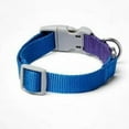 thumbnail image 2 of Pet Dog Leash and Collar Set Colorblock (Small, Blue/Purple), 2 of 4