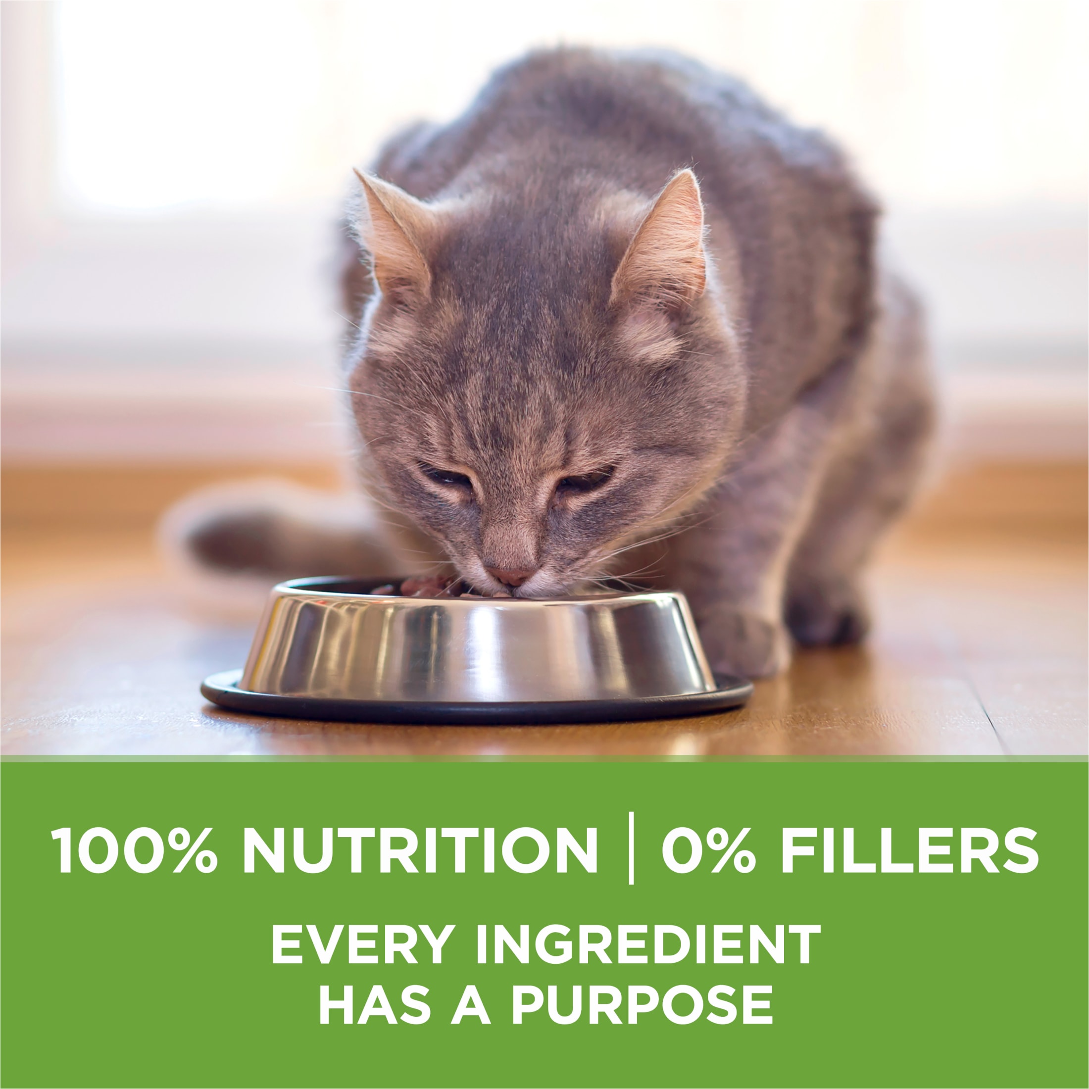 Purina ONE Plus Indoor Advantage Turkey Dry Cat Food, 7 lb photo 8