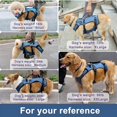 thumbnail image 5 of Coodeo Dog Lift Harness, Support & Recovery Sling, Pet Rehabilitation Lifts Vest Adjustable Breathable Straps for Old, Disabled, Joint Injuries, Arthritis, Paralysis Dogs Walk (Blue-L), 5 of 6