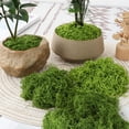 thumbnail image 3 of Simulated Artificial Turf Landscape Decoration Light Green/Green 100G/500G Green, 3 of 9