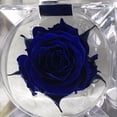 thumbnail image 3 of Mini rosa preservada de color Sapphire Blue en cajita de regalo. Mina’an-flor eterna Mini rosa preservada en color Sapphire Blue en pequeña cajita de acrílico para regalo, 3 of 4