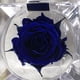 thumbnail image 3 of Mini rosa preservada de color Sapphire Blue en cajita de regalo. Mina’an-flor eterna Mini rosa preservada en color Sapphire Blue en pequeña cajita de acrílico para regalo, 3 of 4