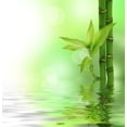 thumbnail image 2 of Bamboo Wall Decal by Wallmonkeys Peel and Stick Graphic (18 in H x 15 in W) WM144155, 2 of 4