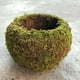 thumbnail image 2 of Sailing Planta en maceta con bolas de musgo de estilo japonés, maceta de musgo elegante y natural, 2 of 10