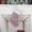 Pink 3U9, variant on Staron Christmas Stockings Non-Woven Christmas Tree (Purple), Christmas Stockings Non-Woven Christmas Tree Ornaments Pendant Xmas Fireplace Hanging Stockings Decoration