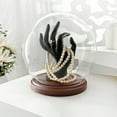 thumbnail image 3 of Plymor 7.5 inch x 8.5 inch Glass Display Dome Globe Cloche (Dark Wood Base), Pack of 4, 3 of 3