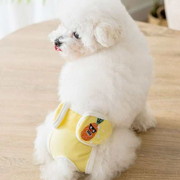 Dog wif pants online