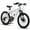 White-2, variant on RAISTYW 20'' Kid's Bike ,Mountain Bike for Ages 8-12 Years Old, 7 Speed Teenager Children Kids' Bicycles, White