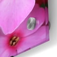 thumbnail image 3 of Epic Art 'Pink Flowers 1' by Photoinc Studio, Acrylic Glass Wall Art, 24"x24", 3 of 8