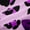 Black Purple, variant on Manfei Gradient Pink Butterfly Black Out Curtains for Teens Children Female,Leopard Print Curtains Pack of 2 (42x63 Each),Bling Glitter Bedroom Curtains,Luxury Bedroom Decor