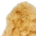 thumbnail image 3 of SAFAVIEH Sheep Skin Tiana Sheep Skin Rug, Champagne/Copper Brown, 3'7" x 5'11" Specialty, 3 of 5