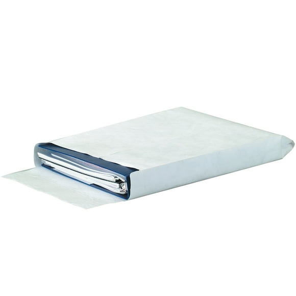 Tyvek Expandable Envelopes